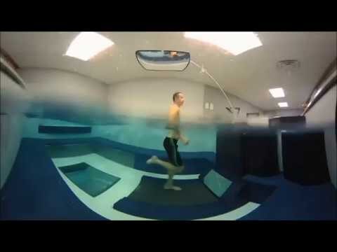 Swimspa: La Diversi&oacute;n Acu&aacute;tica Definitiva